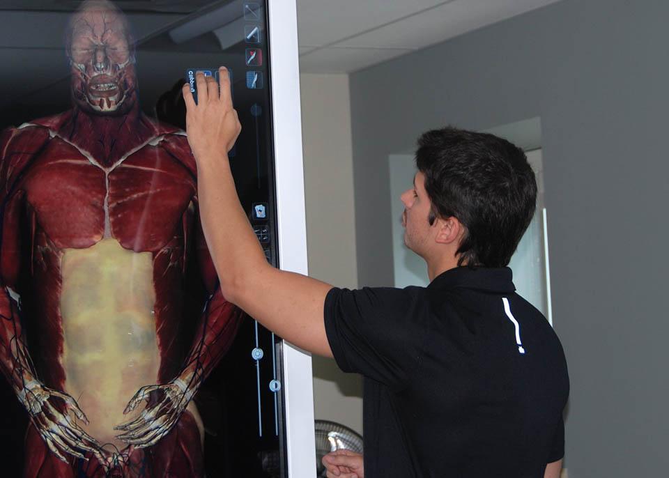 在高级研究生课程中学习人体解剖学的学生
